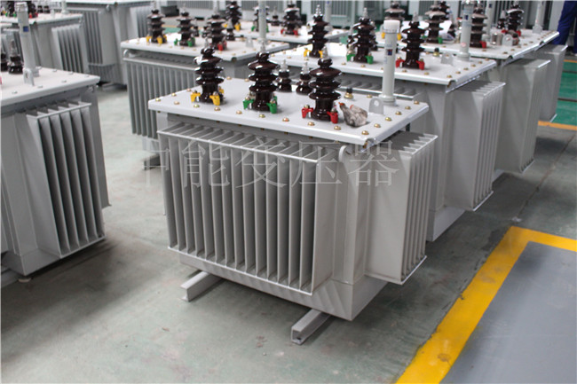 昆明S22-100KVA/10KV/0.4KV变压器